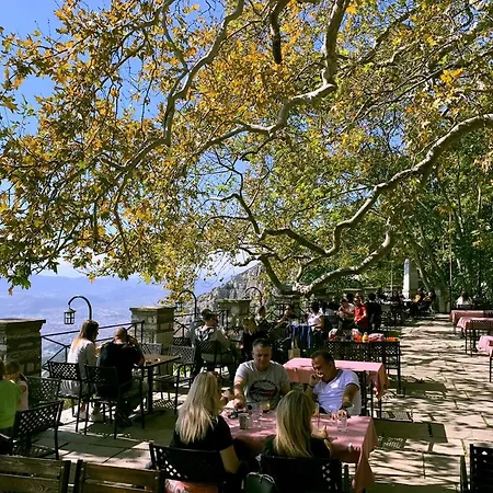 The Lotus Tree Archontiko & Activity 4*