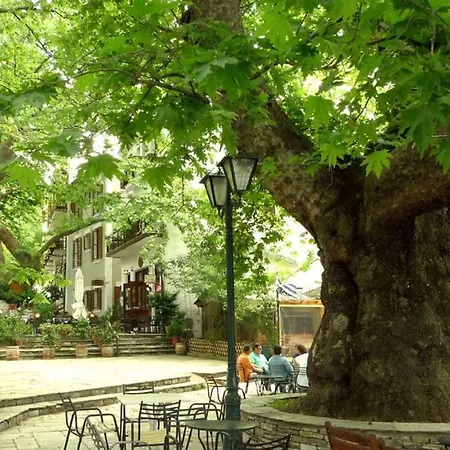 The Lotus Tree Archontiko & Activity