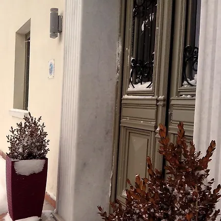 Gæstehus The Lotus Tree Archontiko & Activity