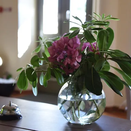 Gæstehus The Lotus Tree Archontiko & Activity 4*