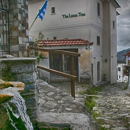 Gæstehus The Lotus Tree Archontiko & Activity 4*