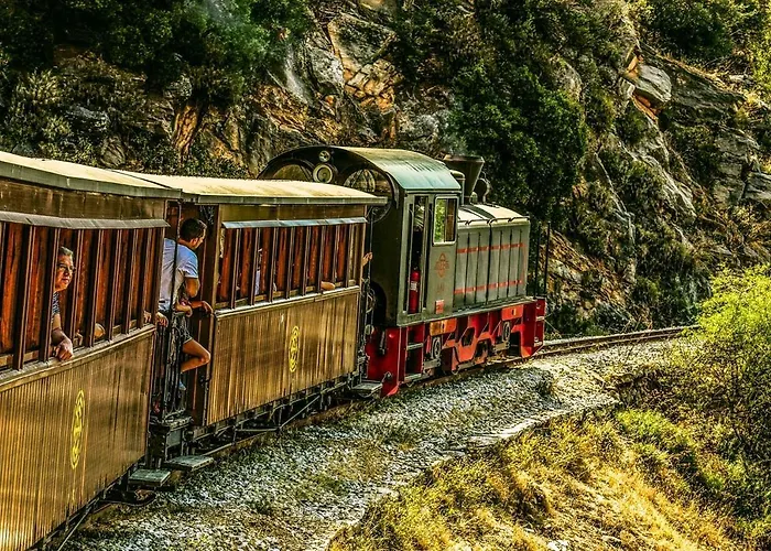 Pensión The Lotus Tree Archontiko & Activity