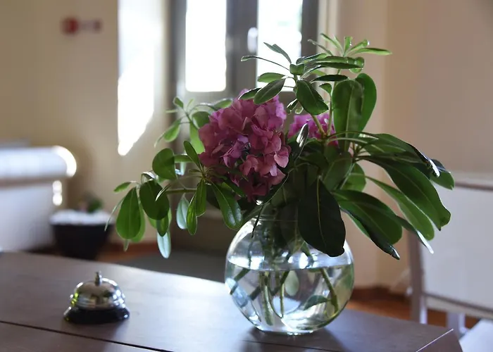 Pensión The Lotus Tree Archontiko & Activity 4*