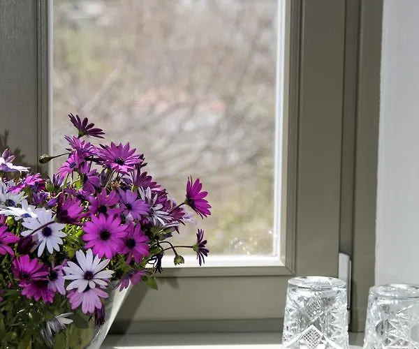 The Lotus Tree Archontiko & Activity 게스트하우스 4*