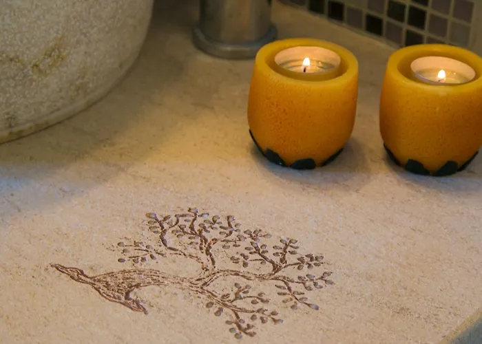 Pensión The Lotus Tree Archontiko & Activity