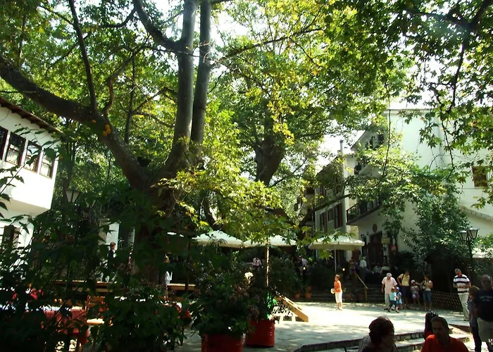 The Lotus Tree Archontiko & Activity